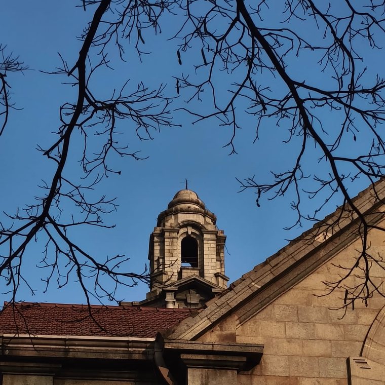 Rooftops and bare branches
