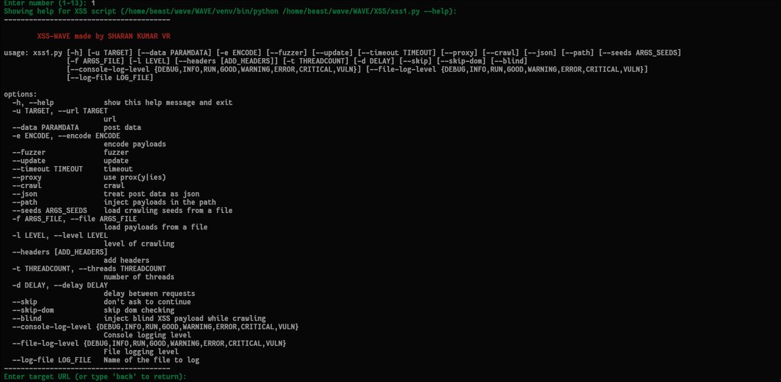XSS module — options & usage